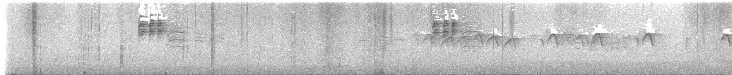 gråhakemønjefugl (solaris gr.) - ML617546646