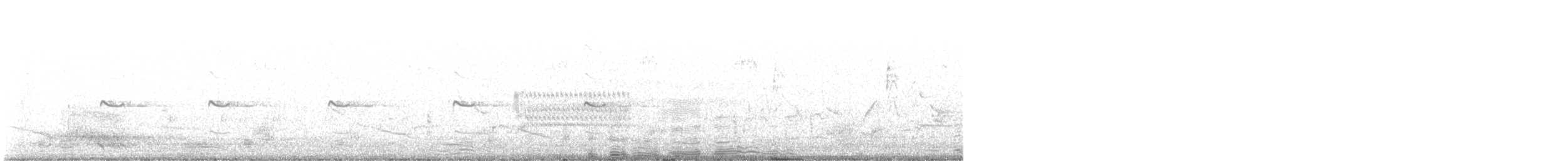 Keilschwanz-Regenpfeifer - ML617546687