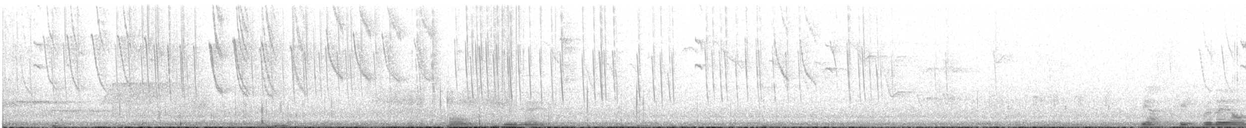 Slender-tailed Woodstar - ML617549277