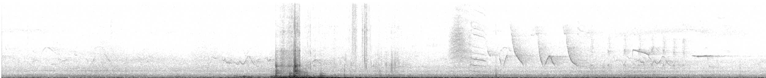 Slender-tailed Woodstar - ML617549422