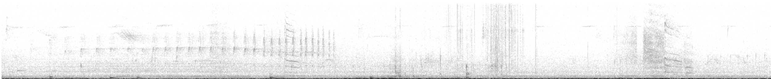 Slender-tailed Woodstar - ML617549424