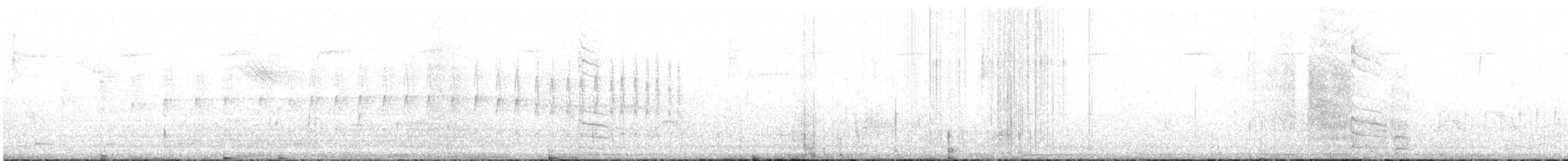 Colibri de Burmeister - ML617549424