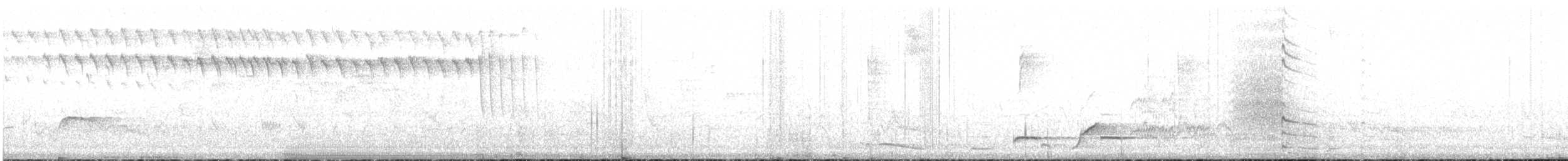 Slender-tailed Woodstar - ML617549425
