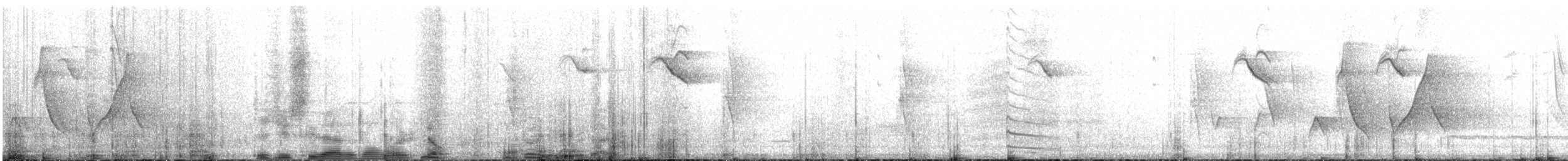 Slender-tailed Woodstar - ML617549426