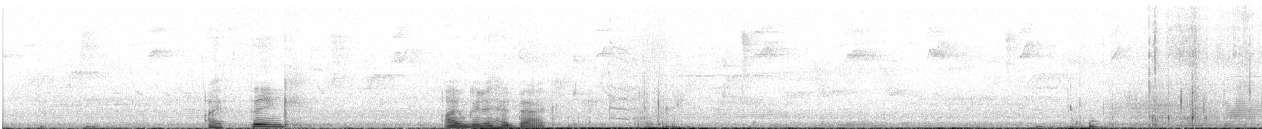 Slender-tailed Woodstar - ML617549618