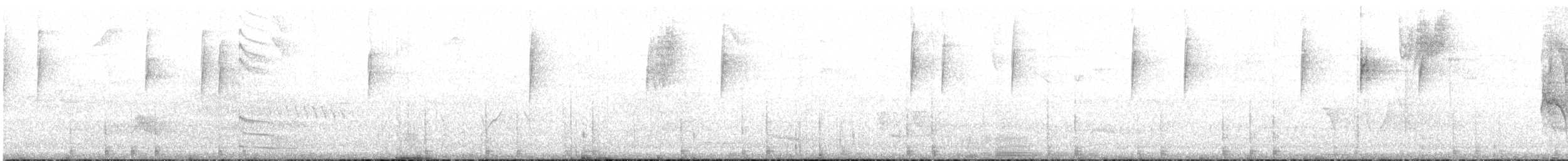 Slender-tailed Woodstar - ML617549620