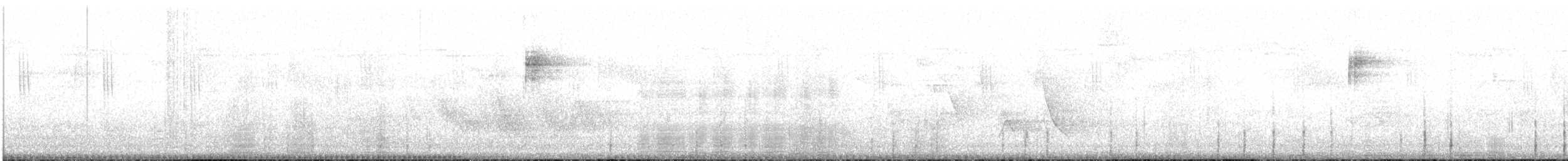 Slender-tailed Woodstar - ML617549623