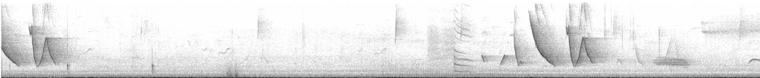 Slender-tailed Woodstar - ML617549625