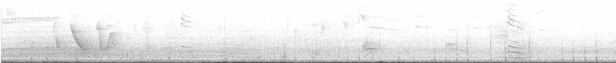 Slender-tailed Woodstar - ML617549627