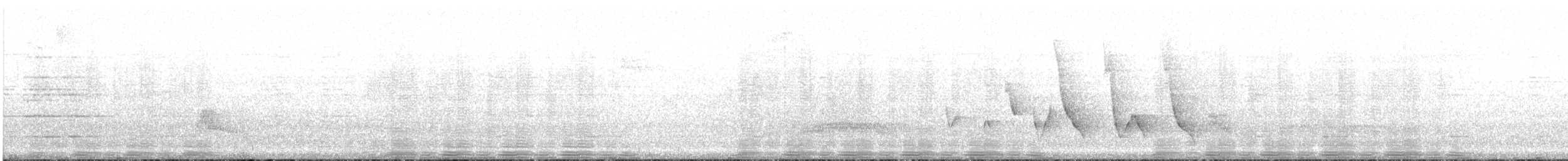 Slender-tailed Woodstar - ML617549628