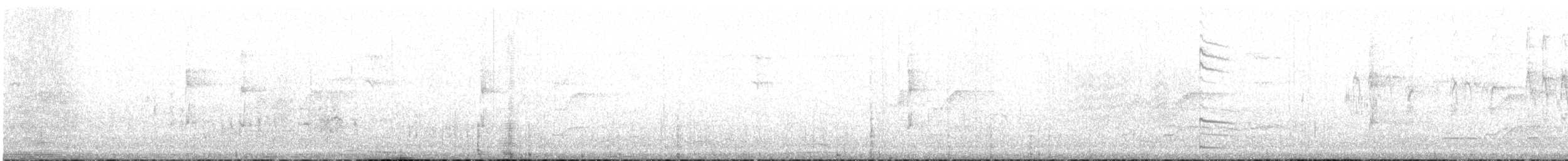 Slender-tailed Woodstar - ML617549629