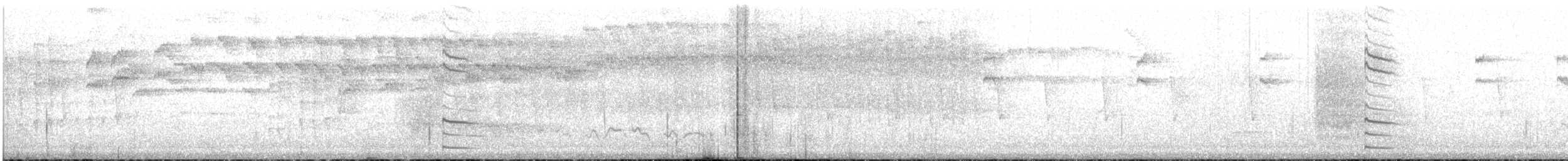Slender-tailed Woodstar - ML617549630