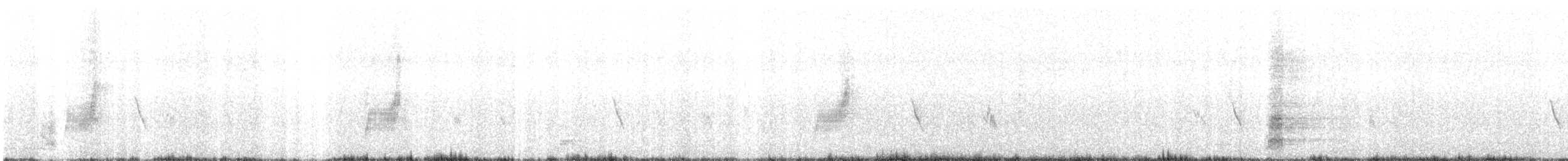 Міагра білогорла - ML617555384
