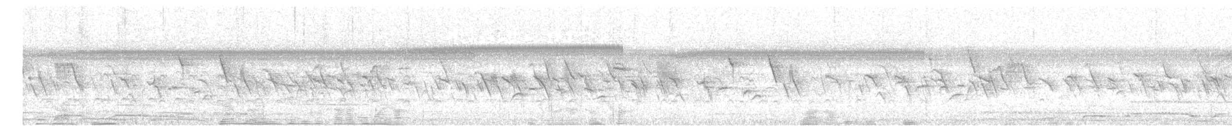 Kestane Karınlı Koca Tohumcul - ML617555563