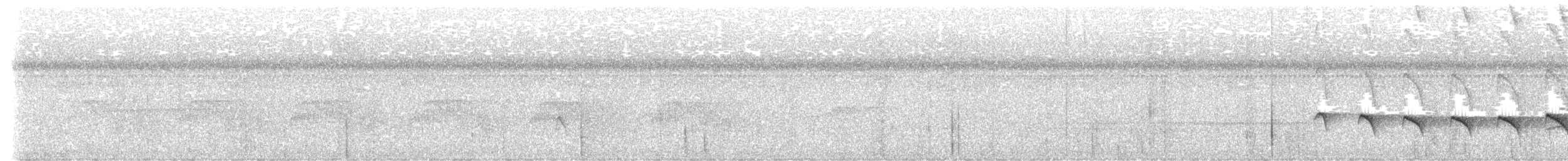 Kurzschwanz-Ameisenvogel - ML617556973