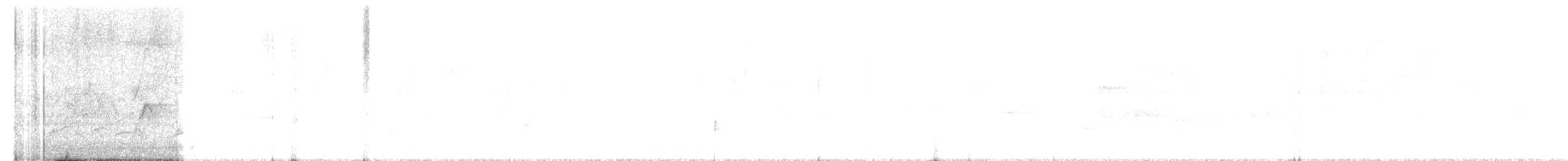 Белогорлая зонотрихия - ML617557536