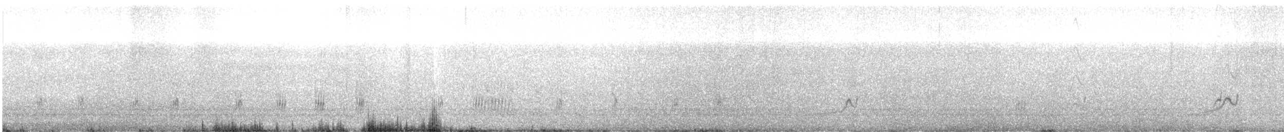 Snowy Plover - ML617559788