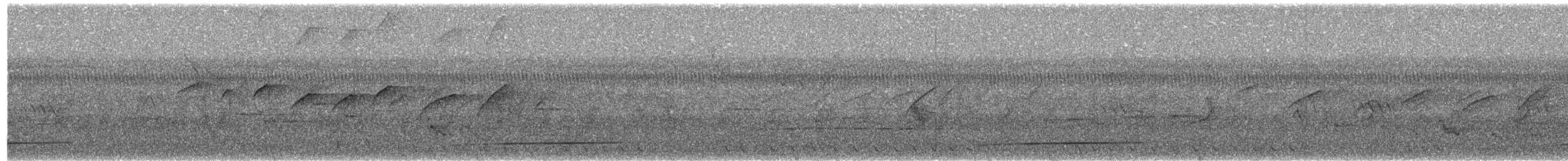 Torquéole de Sonnerat - ML617560288