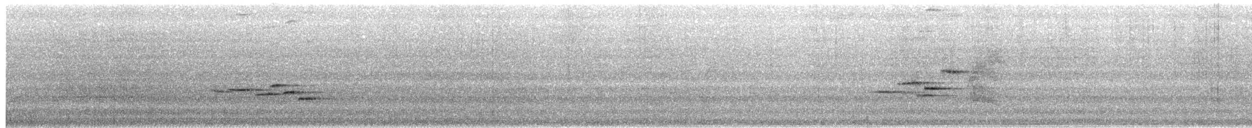 Белохвостая индига - ML617561484
