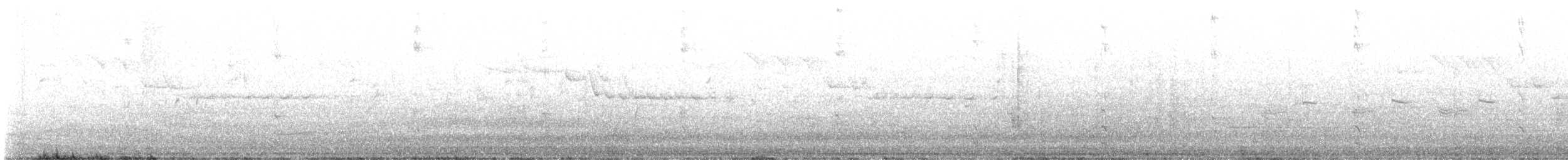 Gallinule poule-d'eau - ML617563232