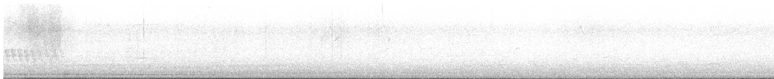 Klappergrasmücke (curruca/blythi/halimodendri) - ML617563521