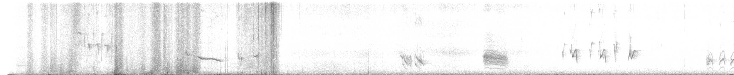 Brown Thrasher - ML617564249