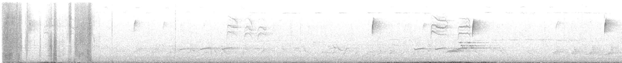 Blaumückenfänger (caerulea) - ML617564643