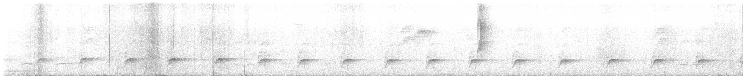 kukačka veverčí (ssp. thermophila) - ML617564743