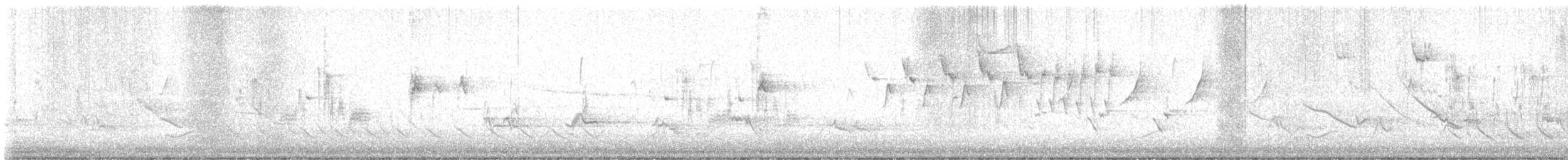 Nashville Warbler - ML617565177