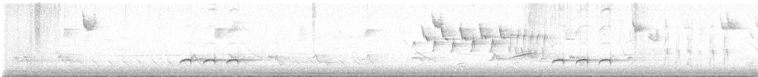 Nashville Warbler - ML617565186