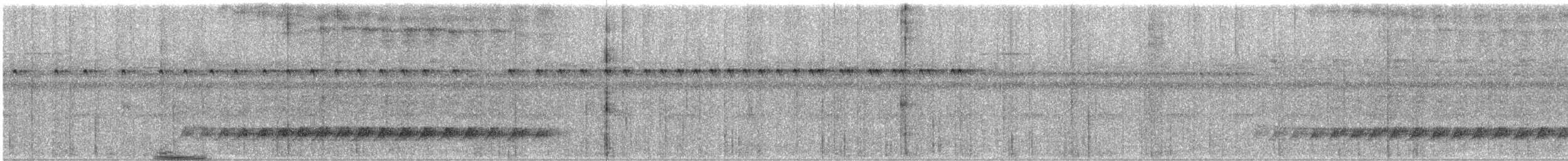 Hoffmanns's Woodcreeper - ML617565430