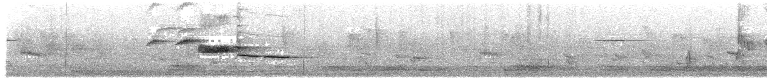 Nilgiri Sholakili - ML617566125