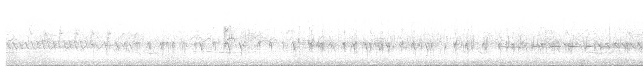 křivka obecná (typ 12) - ML617567027