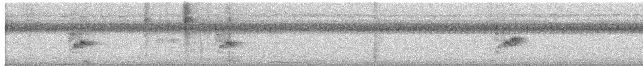 Dendrocygne siffleur - ML617567300