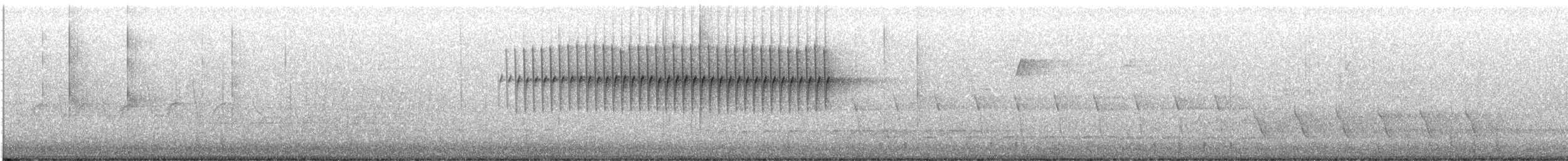 Schwirrammer - ML617568814