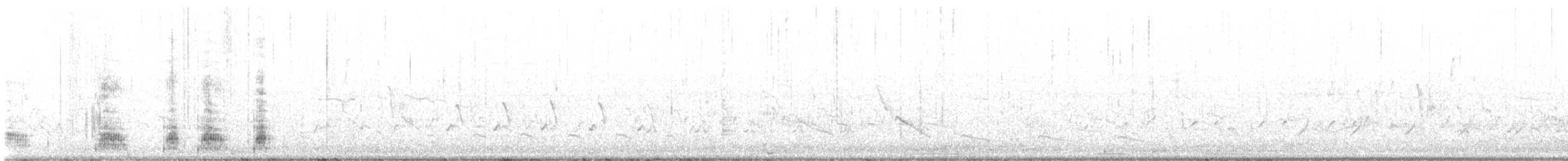 綠頭鴨(馴化) - ML617571733