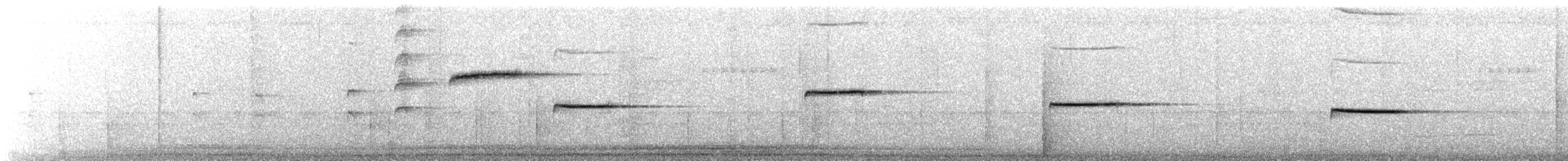 Troglodyte siffleur - ML617573958