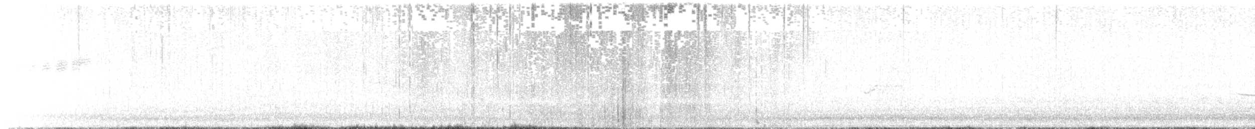 buskparula - ML617576929