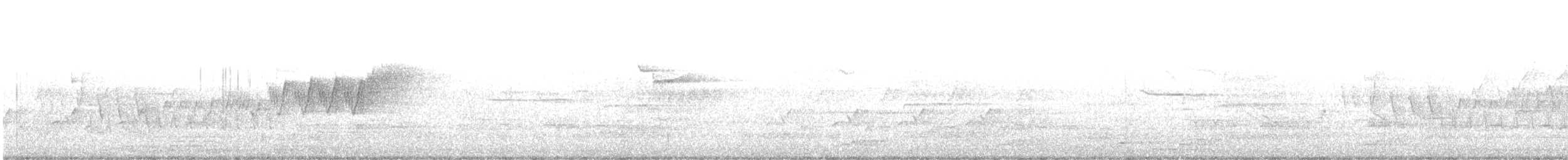 lesňáček modropláštíkový - ML617576957
