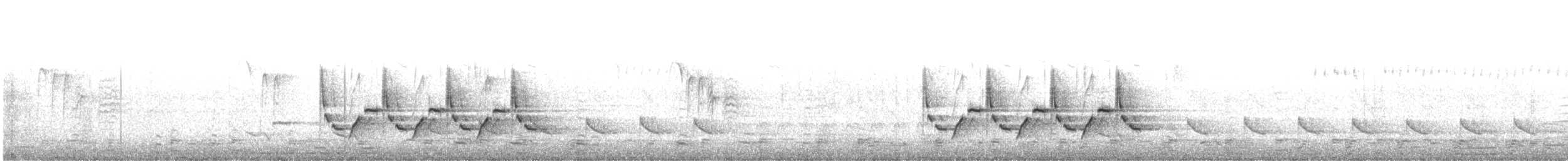 Поплітник каролінський - ML617577874