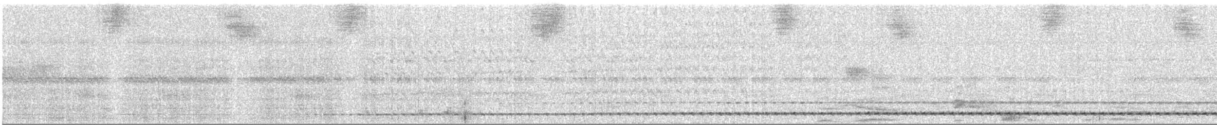 Chevêchette cuculoïde - ML617579157