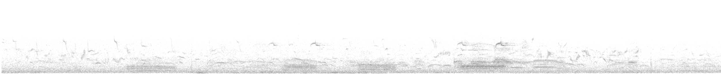 Малая белая цапля - ML617580063