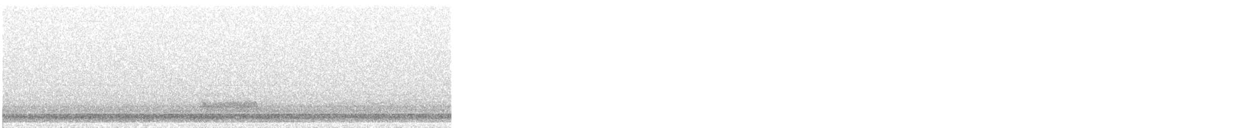 American Barn Owl - ML617581285