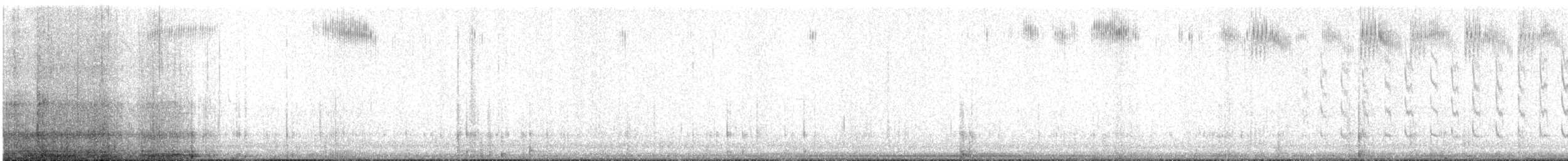 Rufous Hummingbird - ML617582701