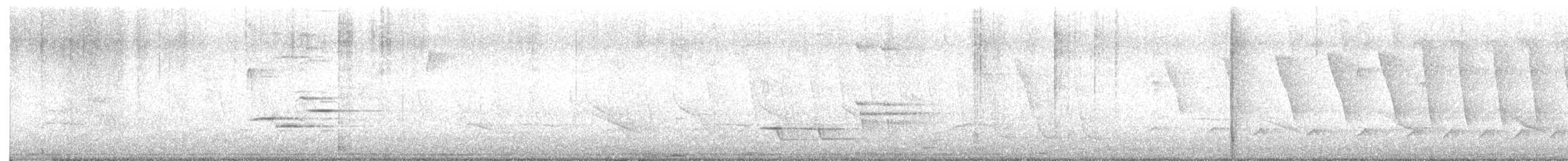 Wood Thrush - ML617583703