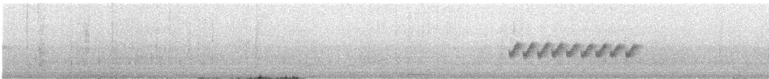 Mangrov Vireosu - ML617585774
