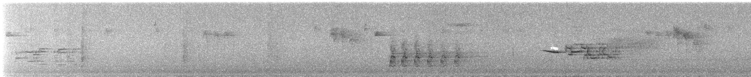 Дрізд-короткодзьоб плямистоволий - ML617585781