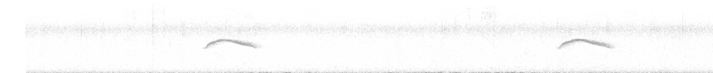 Kestane Karınlı Bülbül Tiranı - ML617585961