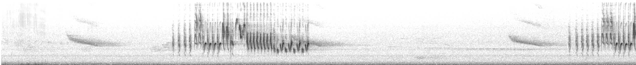 Northern House Wren - ML617586272