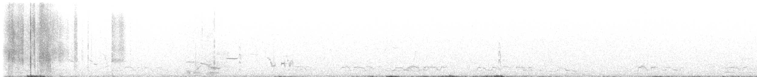 אווז לבן-מצח - ML617586640